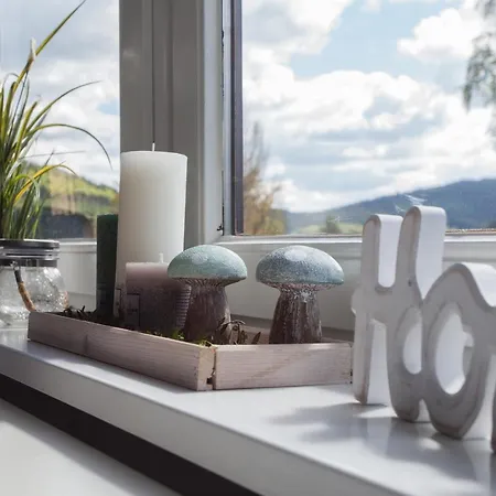 Welcome In - In Winterberg-niedersfeld Met Balkon En Berging 公寓 *