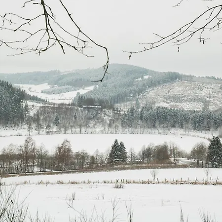 Welcome In - 60-b In Niedersfeld-winterberg Mit Balkon Und Abstellraum Winterberg