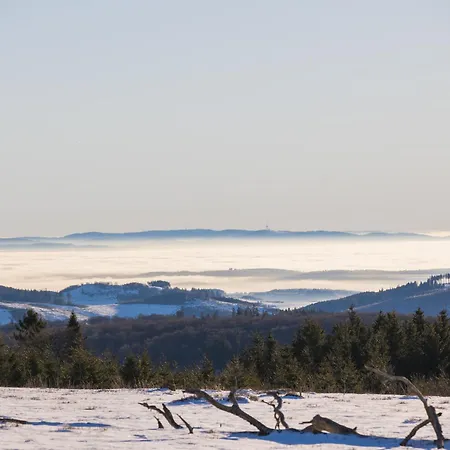 Welcome In - 60-b In Niedersfeld-winterberg Mit Balkon Und Abstellraum Lejlighed