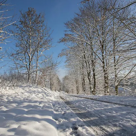 Welcome In - 60-b In Niedersfeld-winterberg Mit Balkon Und Abstellraum * Winterberg